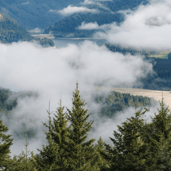 I met Jesus personally. What does that mean, personally?